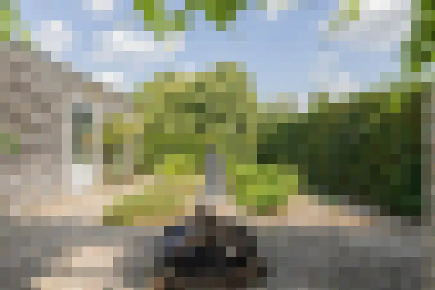 Het Hout 69 Arnhem thumbnail 16