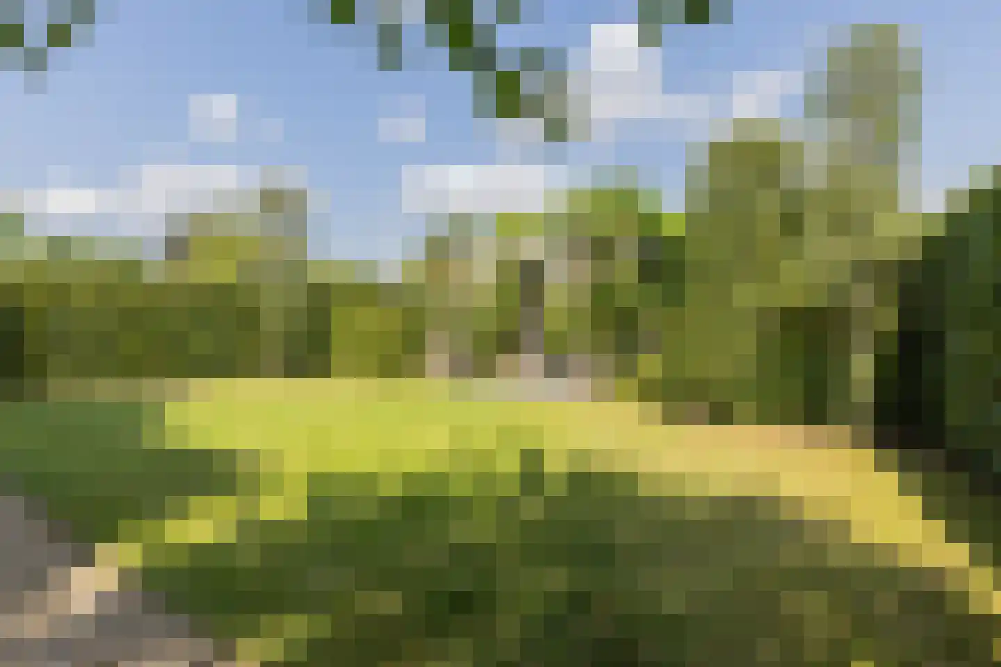 Het Hout 69 Arnhem thumbnail 17