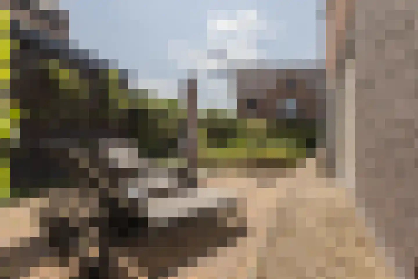 Het Hout 69 Arnhem thumbnail 19