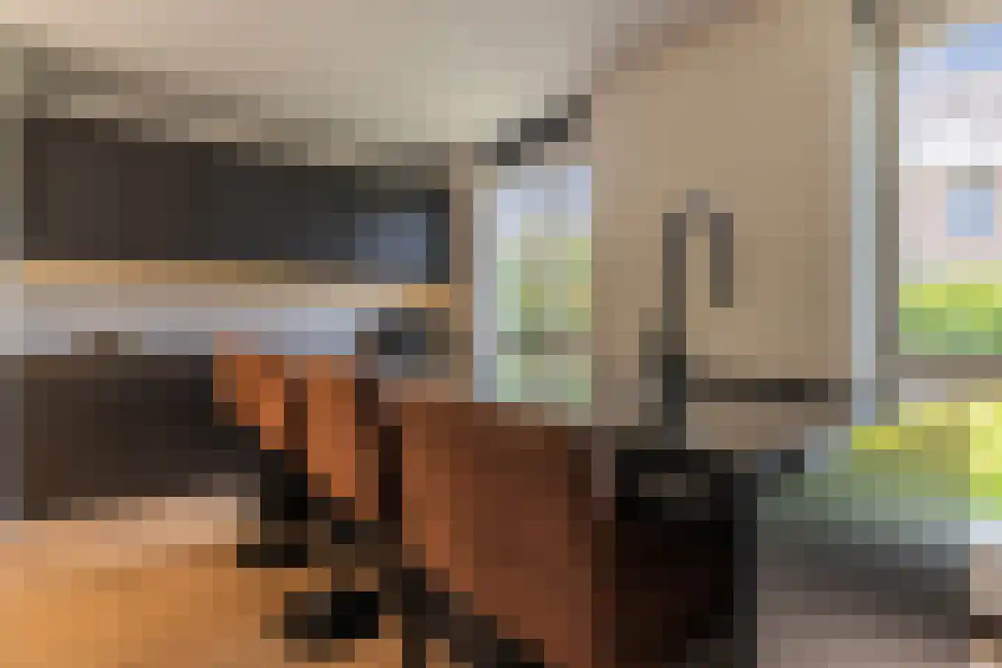 Het Hout 69 Arnhem thumbnail 22