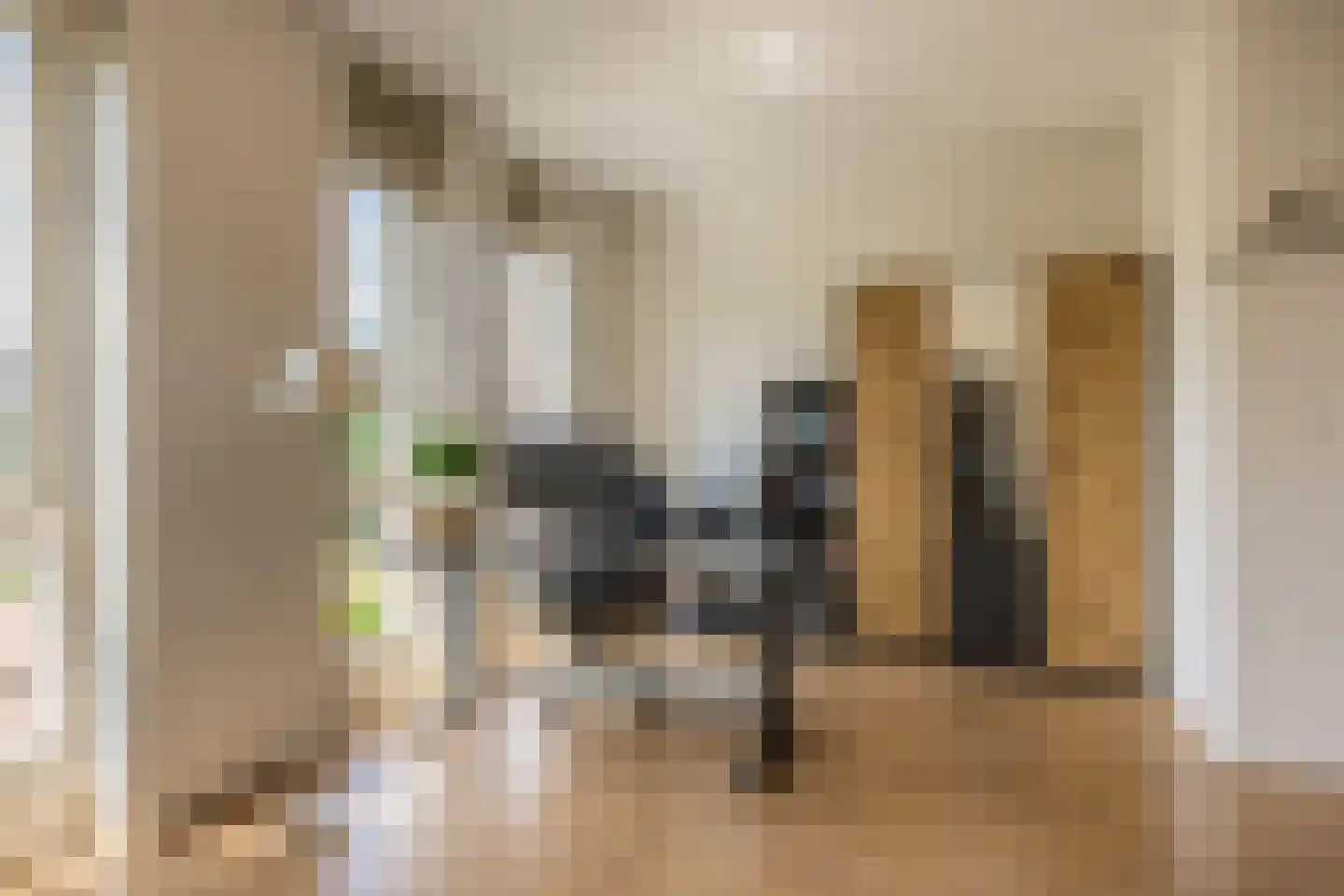 Het Hout 69 Arnhem thumbnail 27