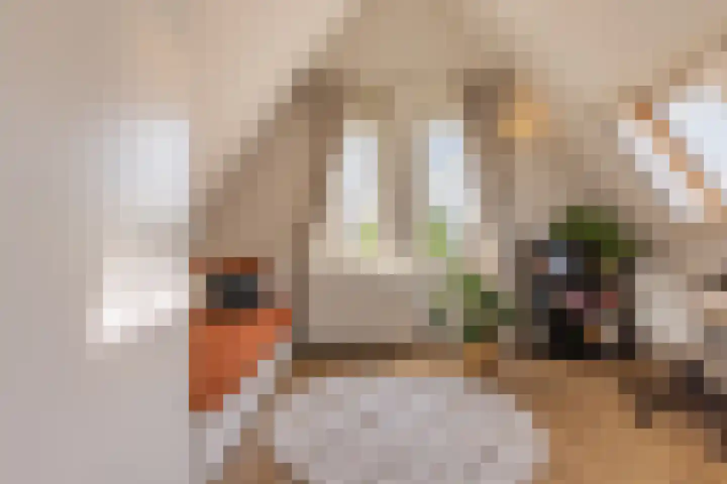 Het Hout 69 Arnhem thumbnail 32