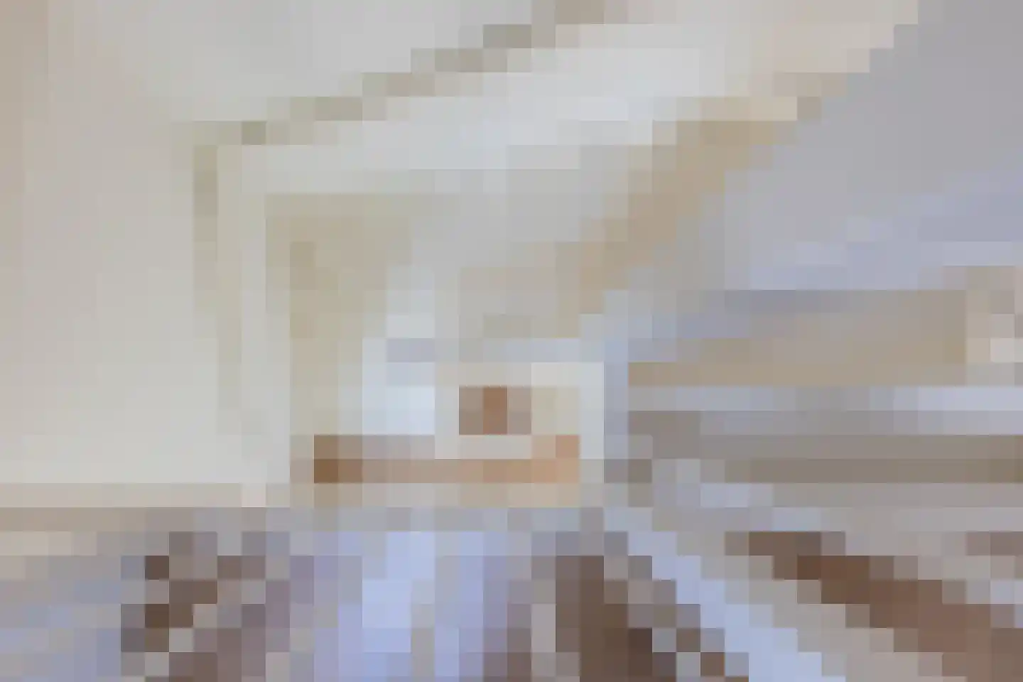 Het Hout 69 Arnhem thumbnail 34
