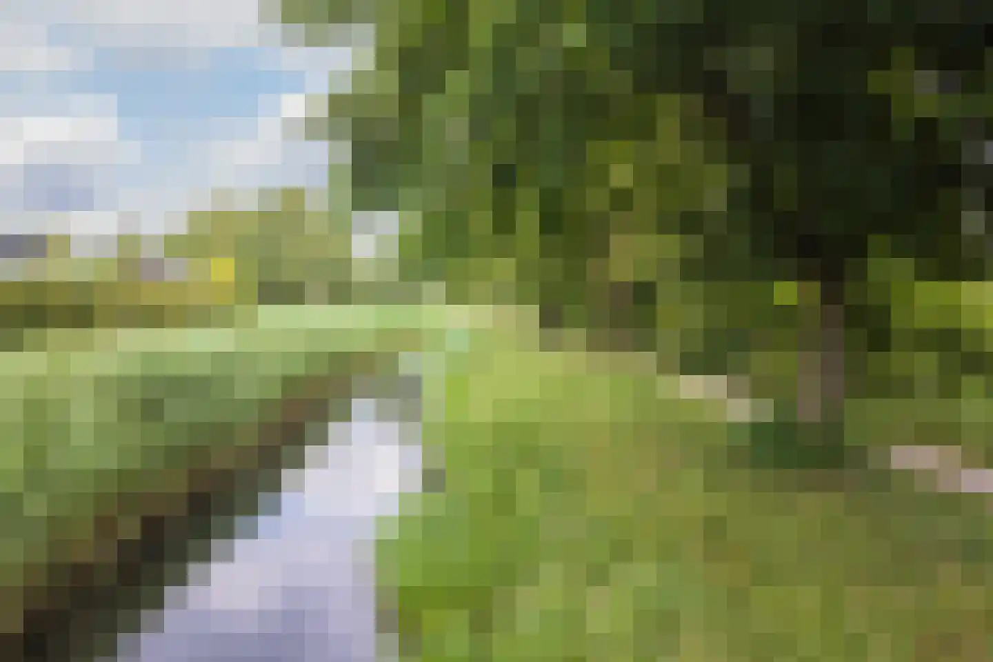 Het Hout 69 Arnhem thumbnail 39
