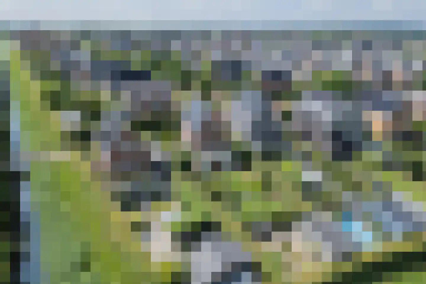 Het Hout 69 Arnhem thumbnail 4