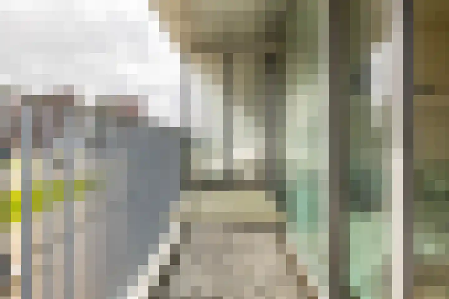 Het Hout 75 Groningen thumbnail 14