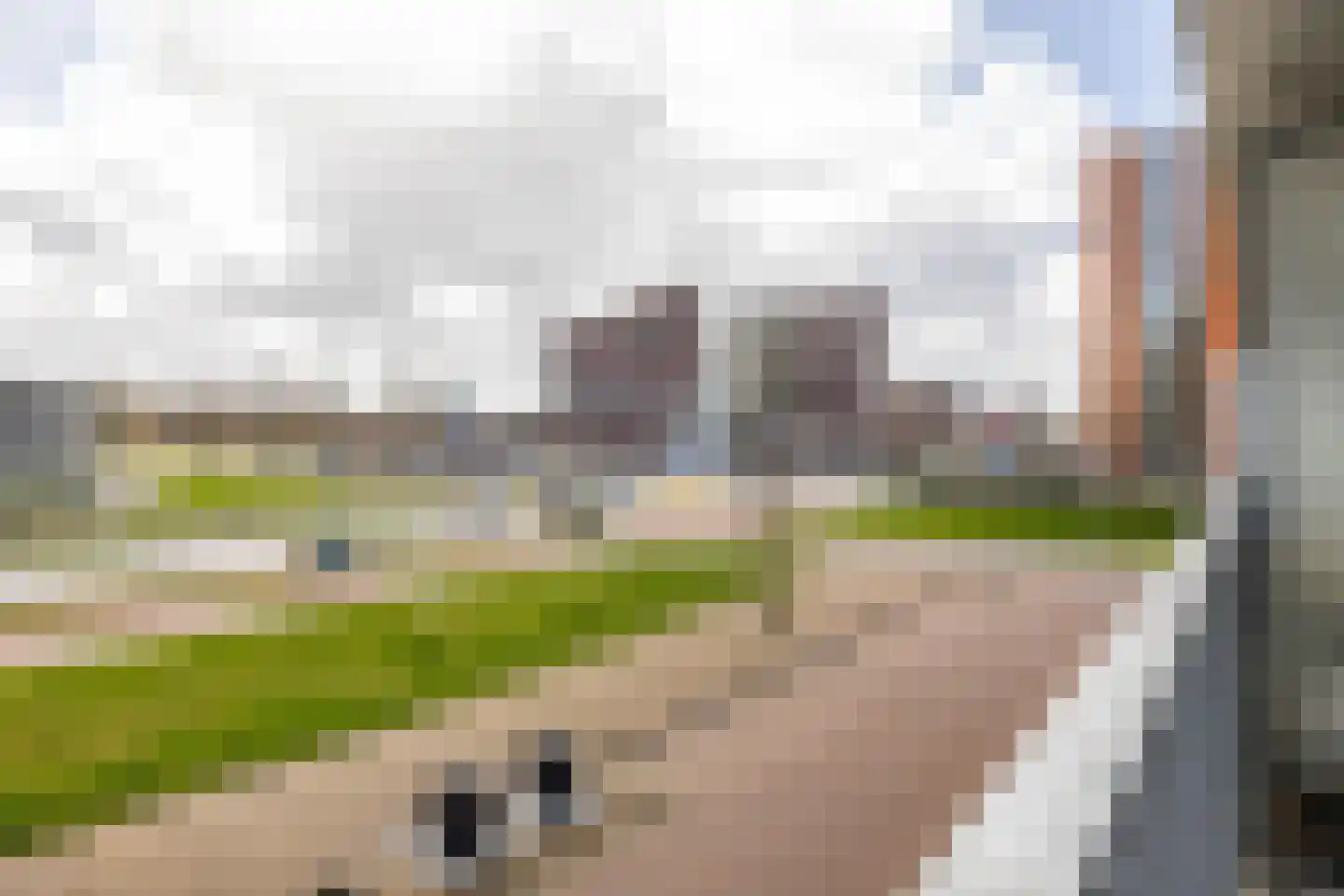 Het Hout 75 Groningen thumbnail 16