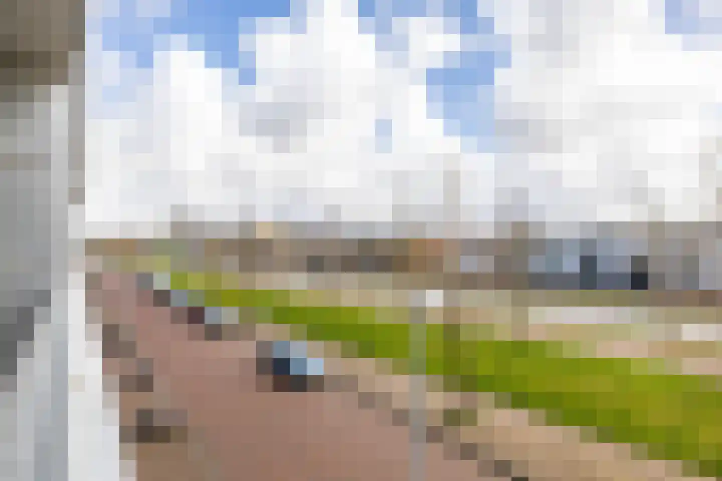 Het Hout 75 Groningen thumbnail 17