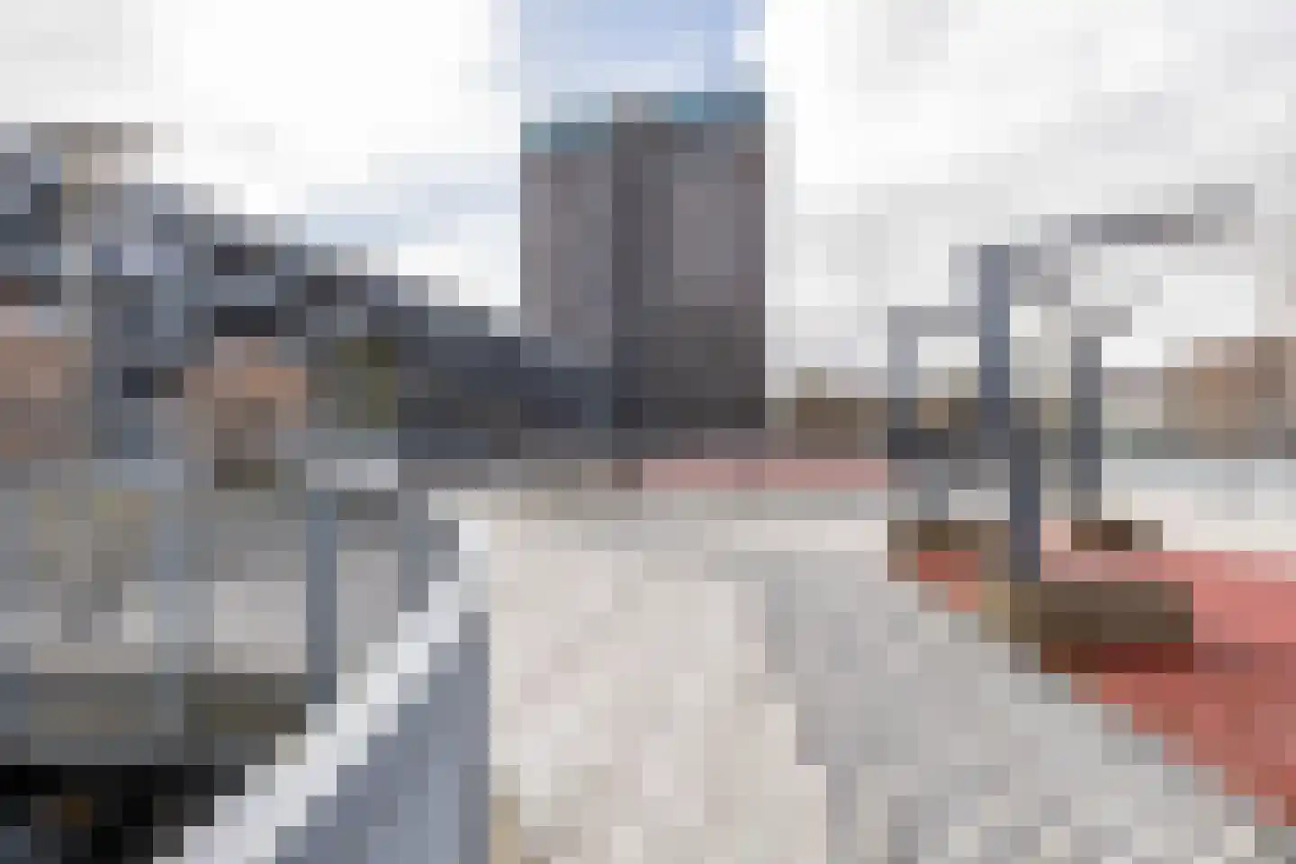 Het Hout 75 Groningen thumbnail 38