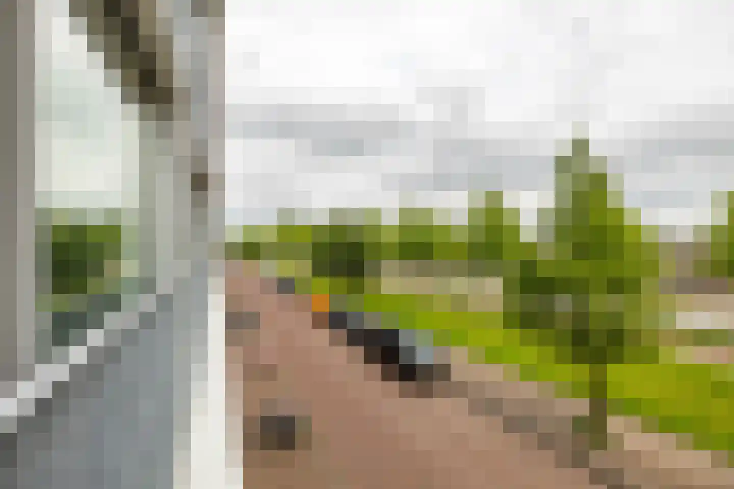 Het Hout 76 Groningen thumbnail 19
