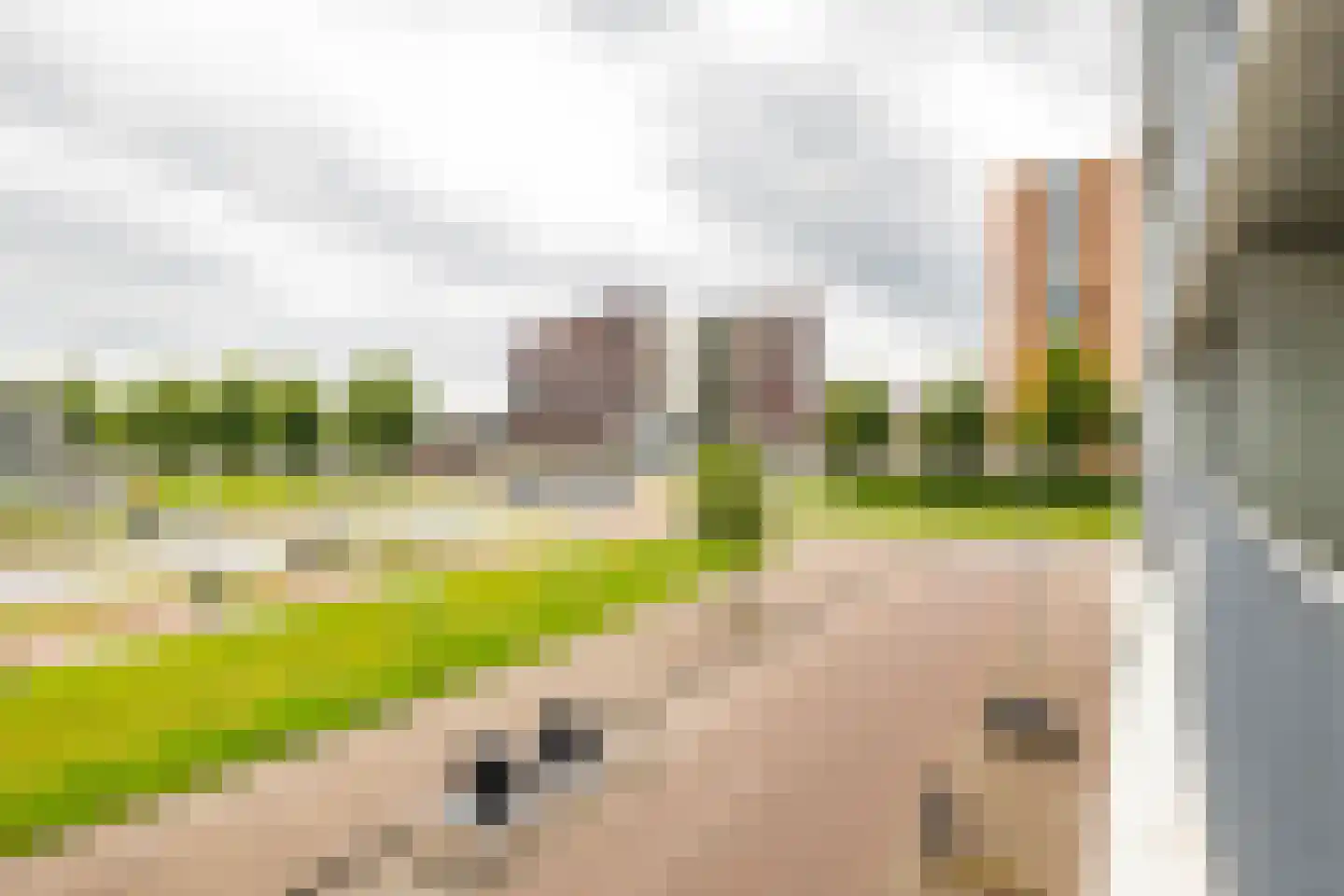 Het Hout 76 Groningen thumbnail 20