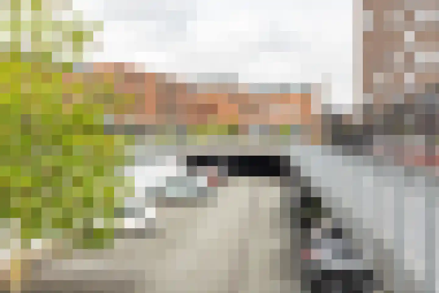 Het Hout 76 Groningen thumbnail 23