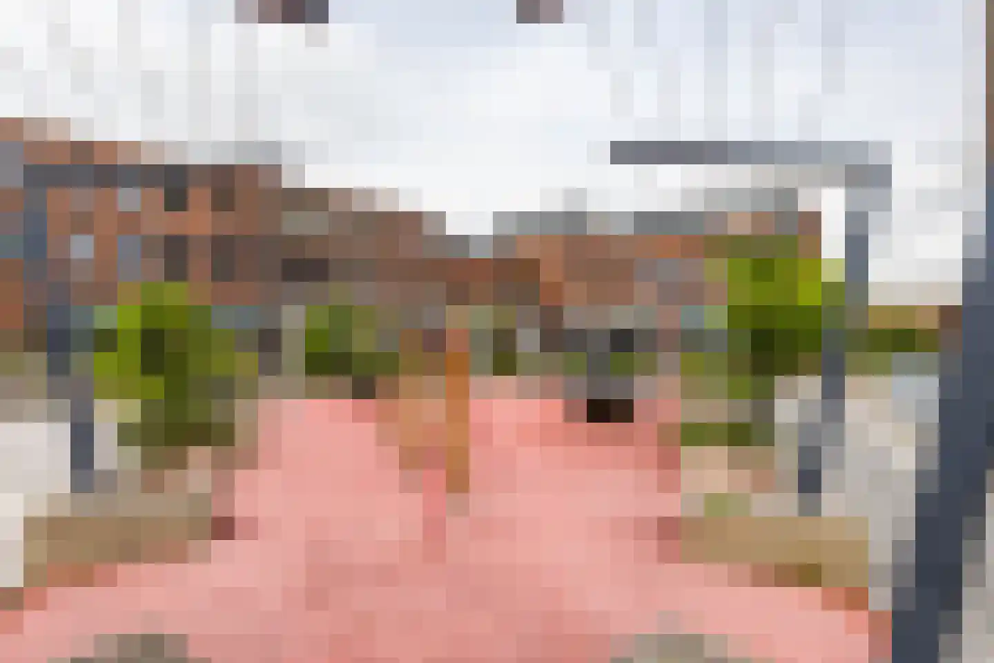 Het Hout 76 Groningen thumbnail 25