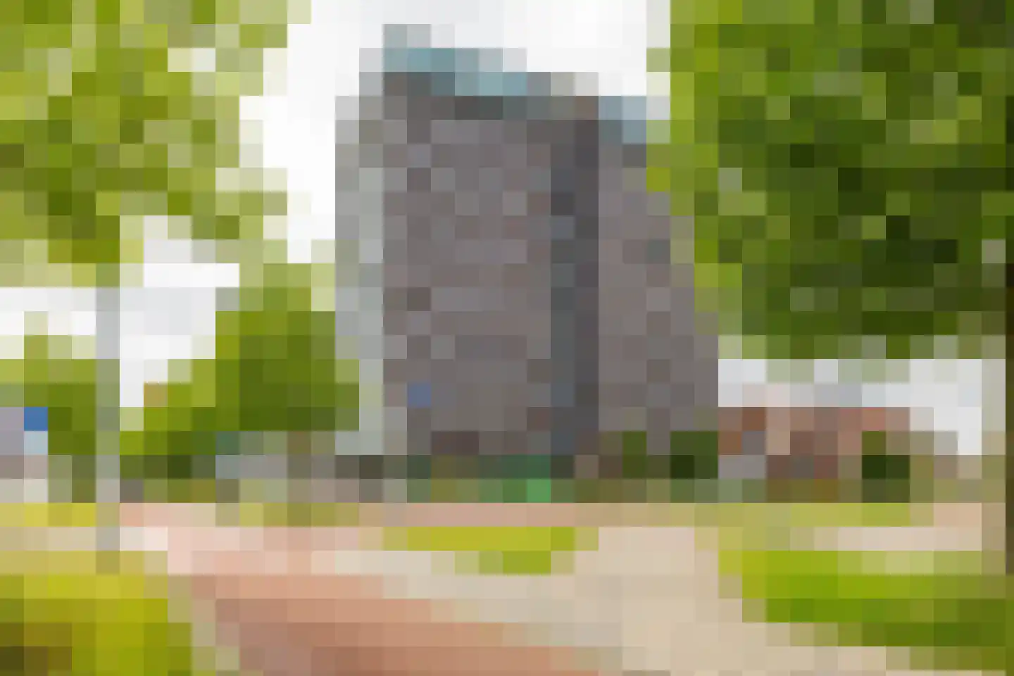 Het Hout 76 Groningen thumbnail 6