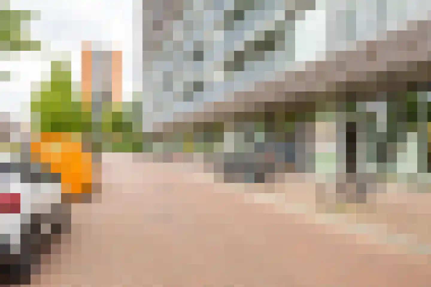 Het Hout 76 Groningen thumbnail 8