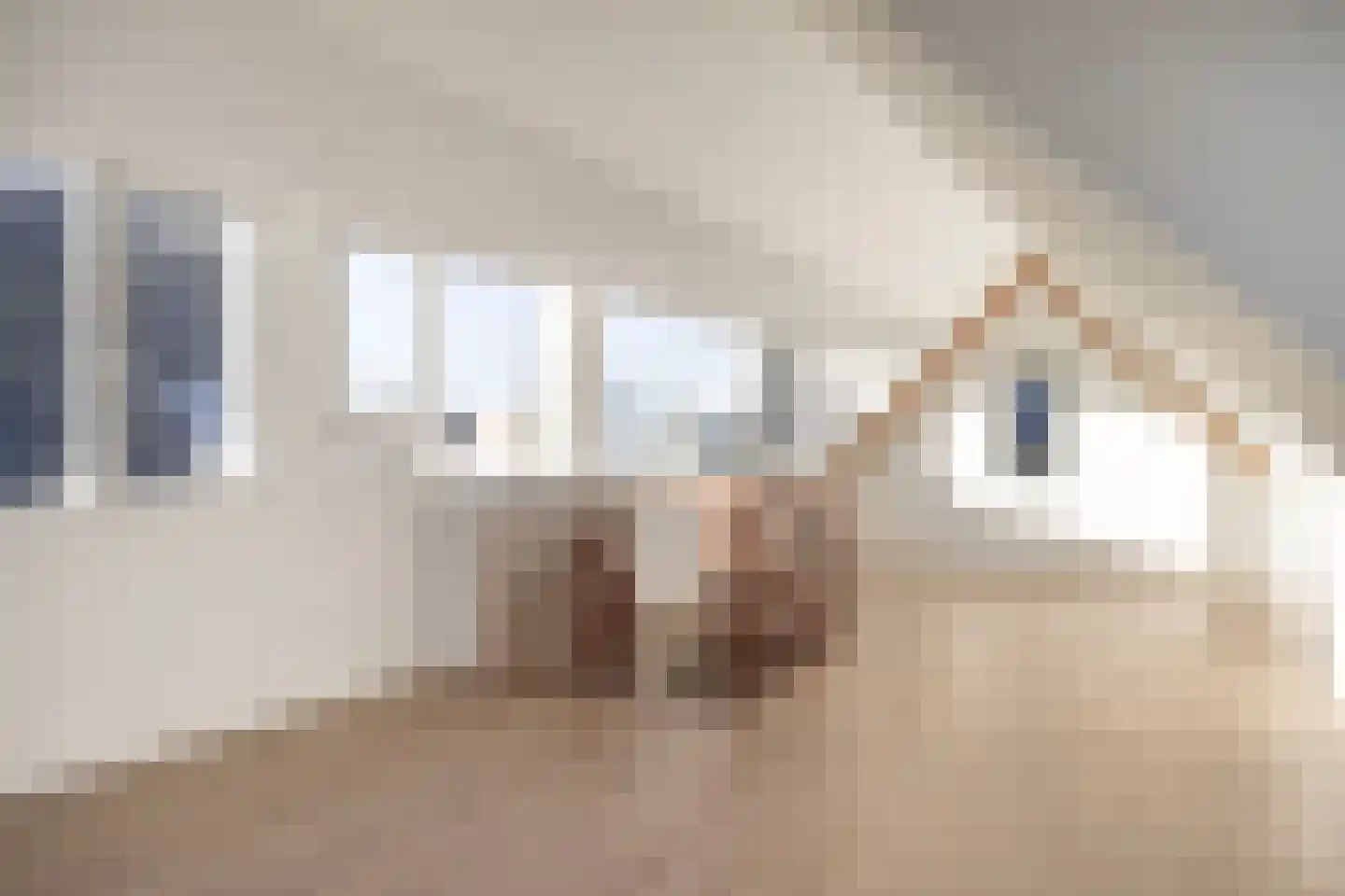 Het Hout 8 Arnhem thumbnail 29