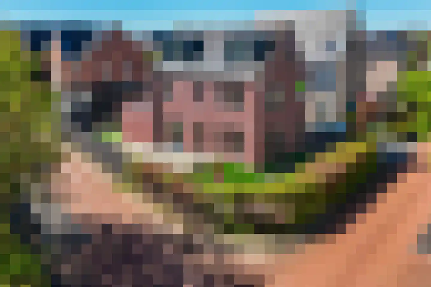 Het Hout 8 Arnhem thumbnail 43