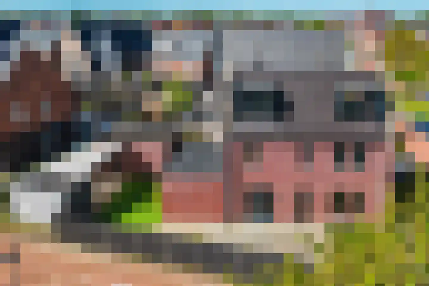 Het Hout 8 Arnhem thumbnail 44