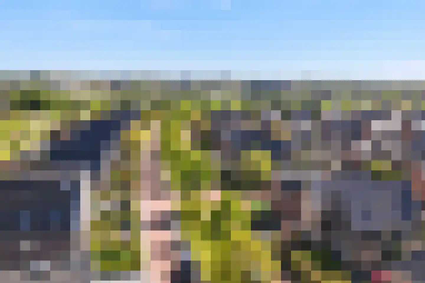 Het Hout 8 Arnhem thumbnail 45