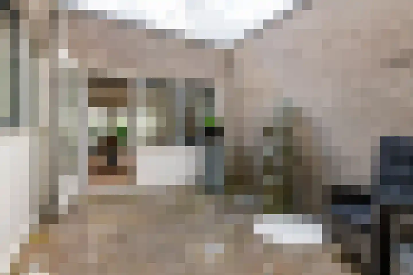 Het Hout 8 Druten thumbnail 20