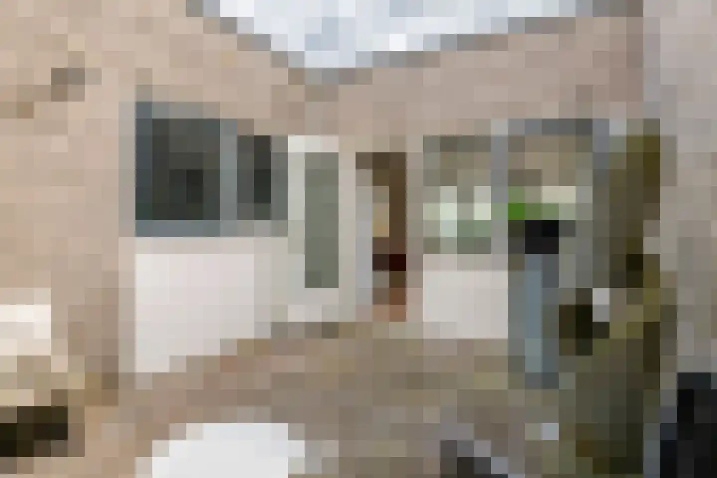 Het Hout 8 Druten thumbnail 21
