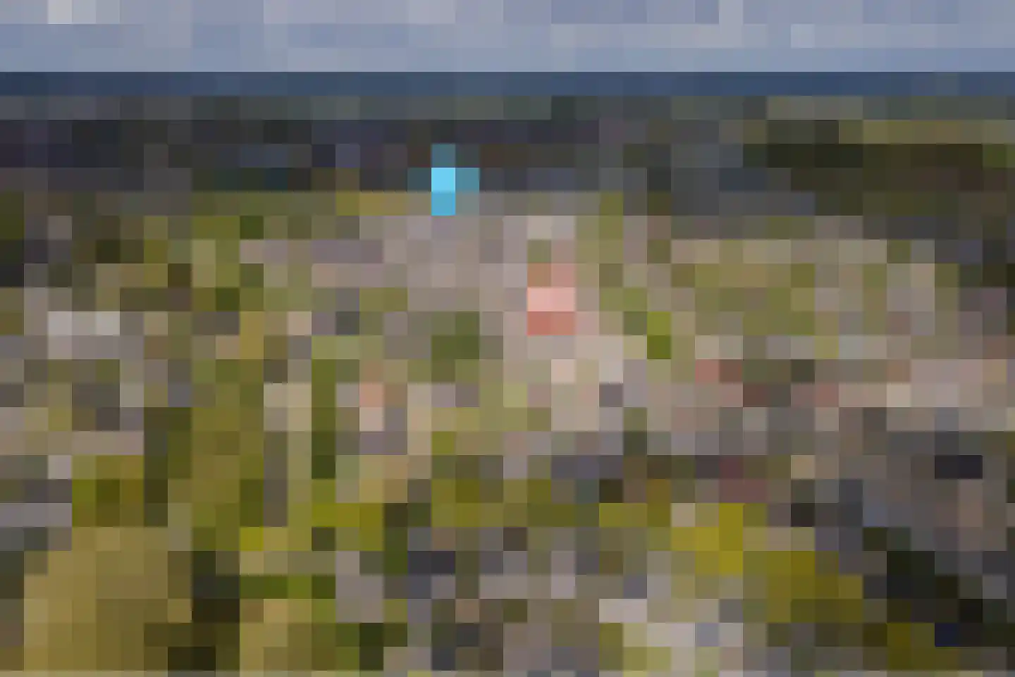 Het Hout 8 Druten thumbnail 36