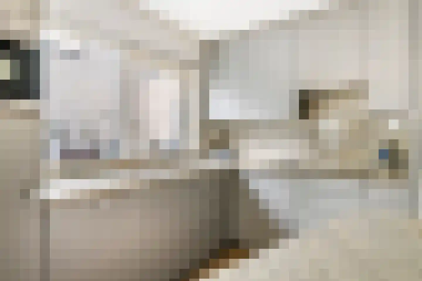 Het Hout 8 Druten thumbnail 9