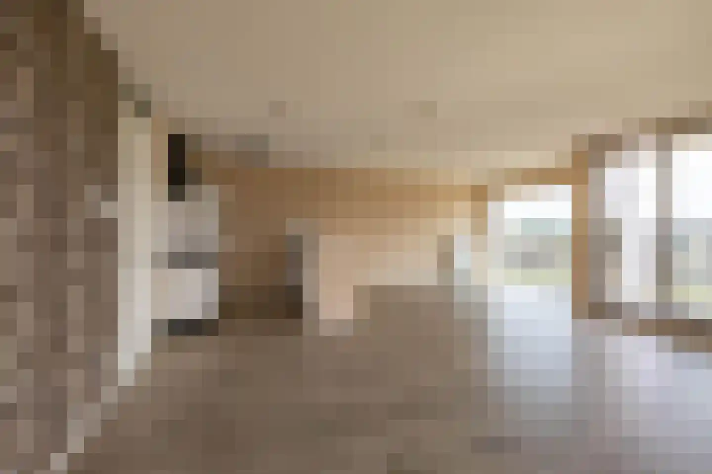 Het Hout 8 Groningen thumbnail 6