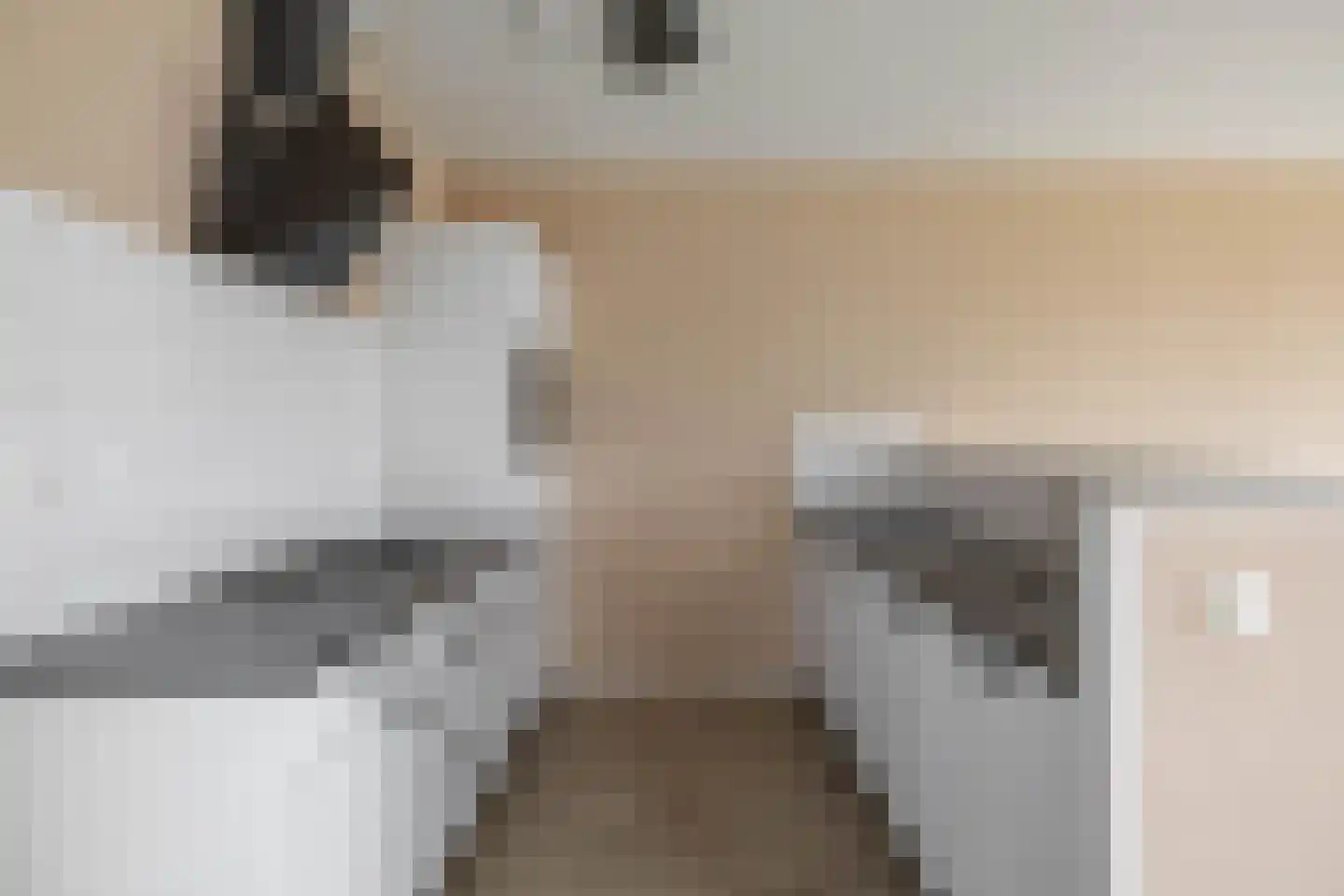 Het Hout 8 Groningen thumbnail 7