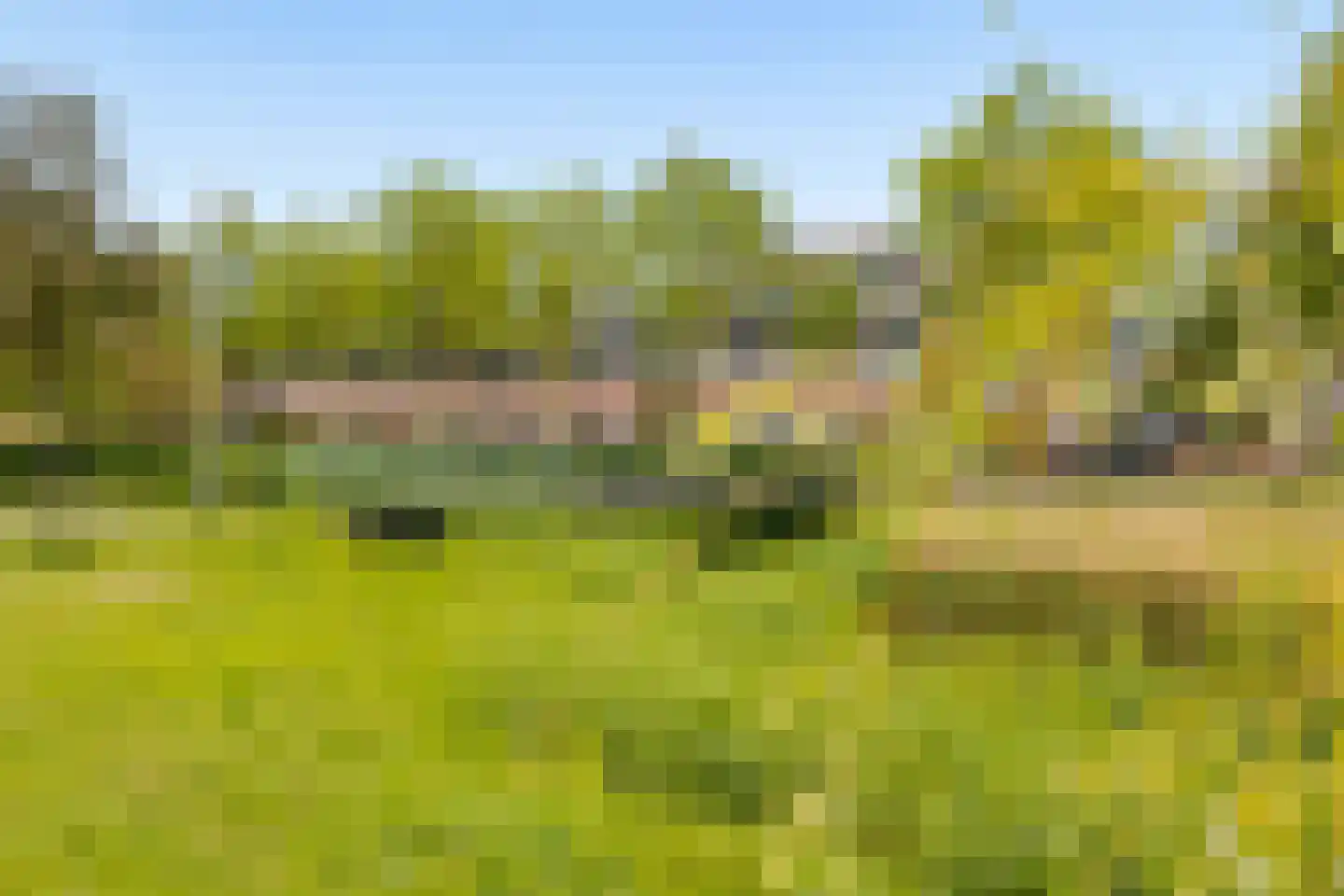 Het Hout 8 Houten thumbnail 39
