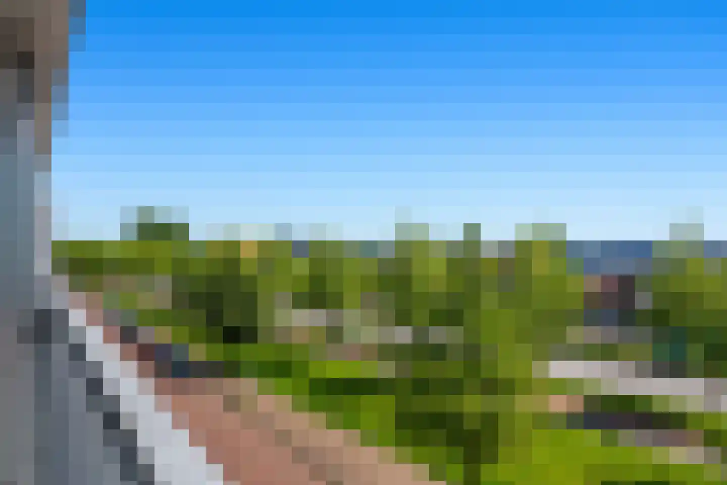 Het Hout 94 Groningen thumbnail 20