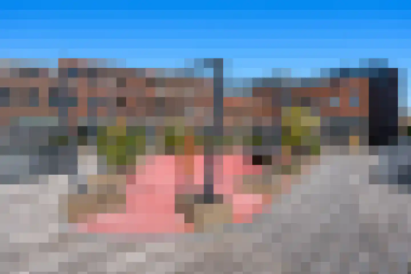 Het Hout 94 Groningen thumbnail 30