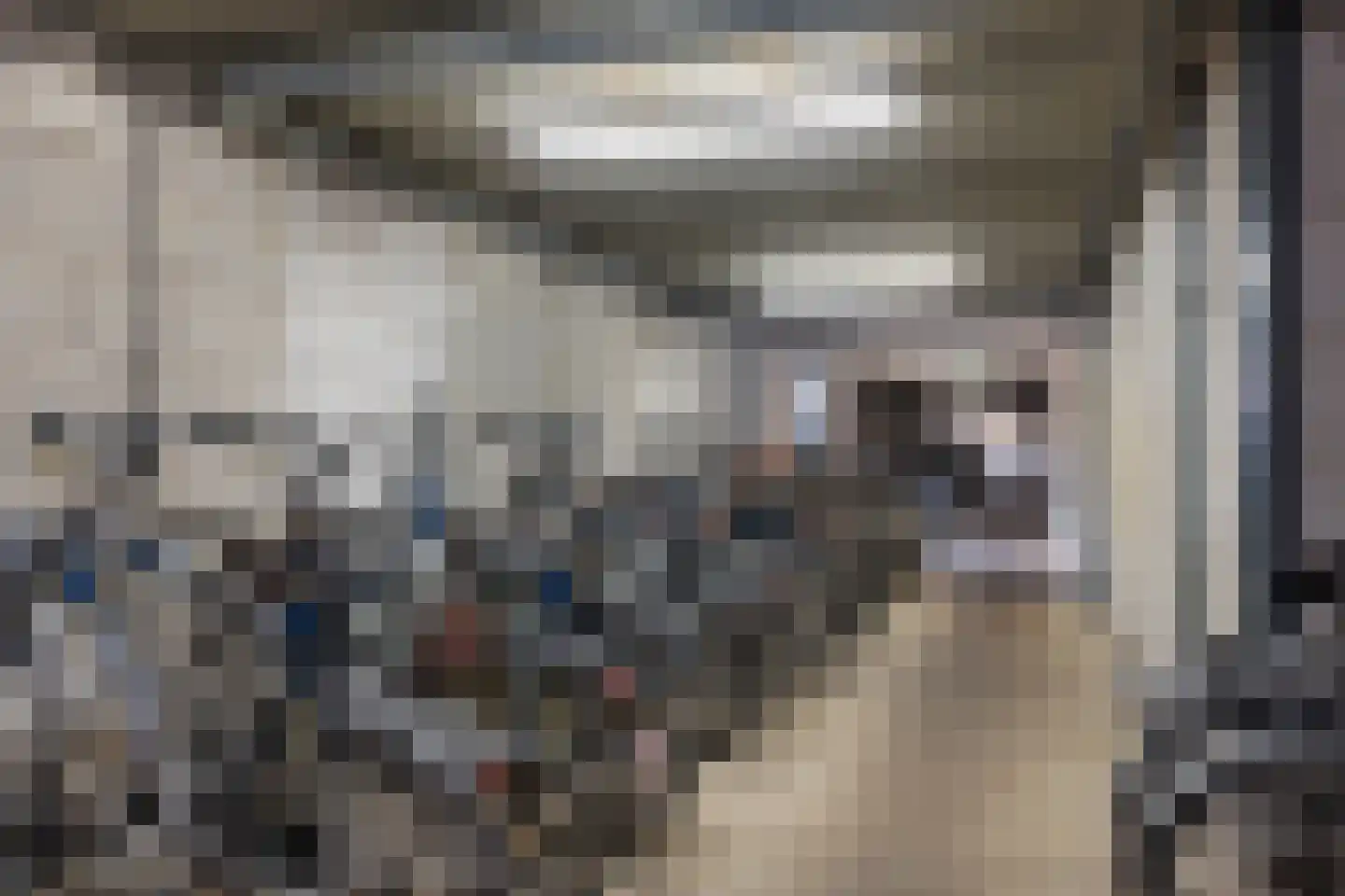 Het Hout 94 Groningen thumbnail 32