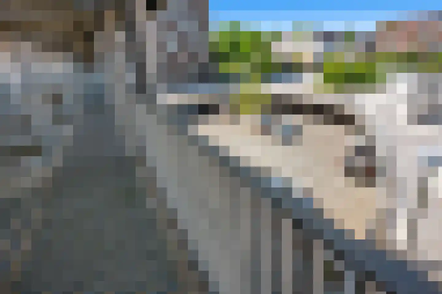 Het Hout 94 Groningen thumbnail 33