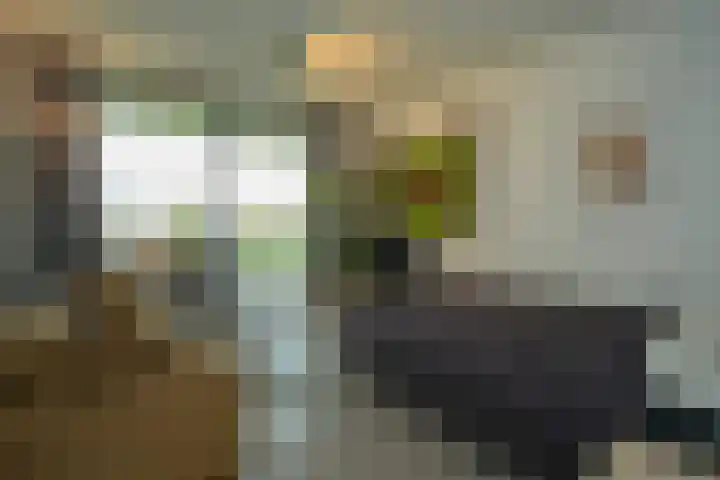 Het Hout 95 Groningen thumbnail 13