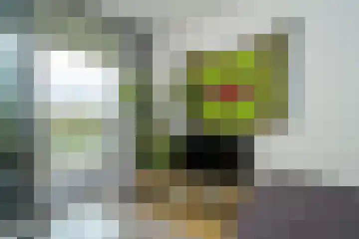 Het Hout 95 Groningen thumbnail 16