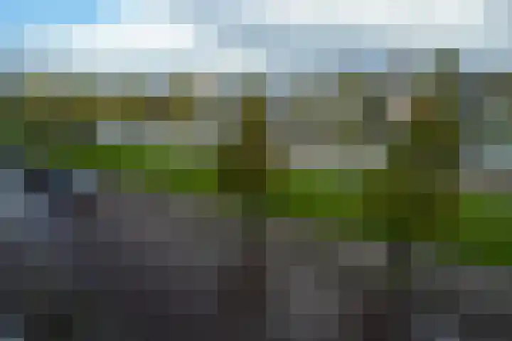 Het Hout 95 Groningen thumbnail 20