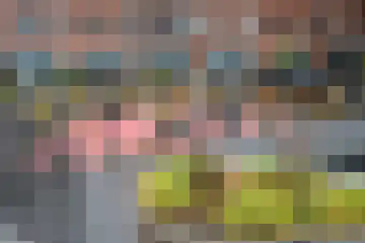 Het Hout 95 Groningen thumbnail 31