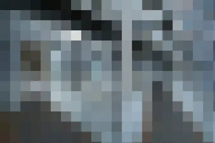 Het Hout 95 Groningen thumbnail 8