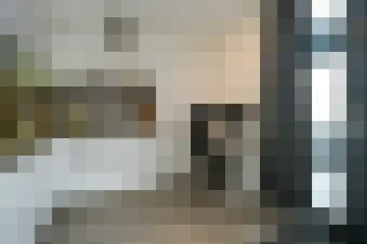 Het Hout 95 Groningen thumbnail 9