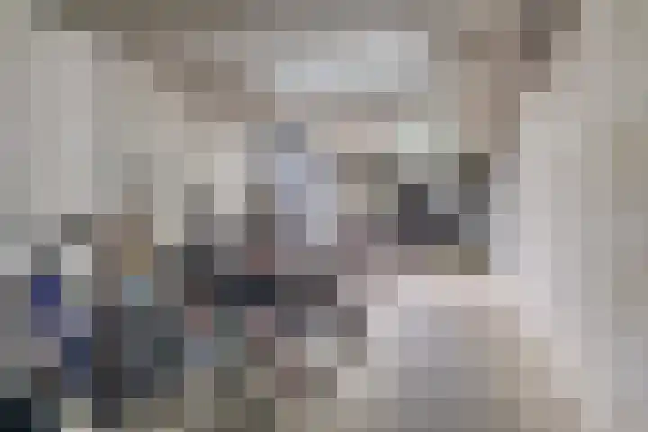 Het Hout 99 Groningen thumbnail 18
