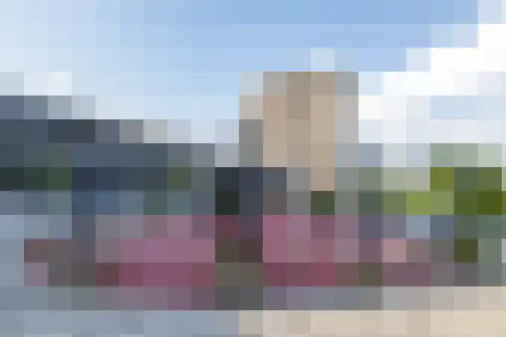 Het Hout 99 Groningen thumbnail 23