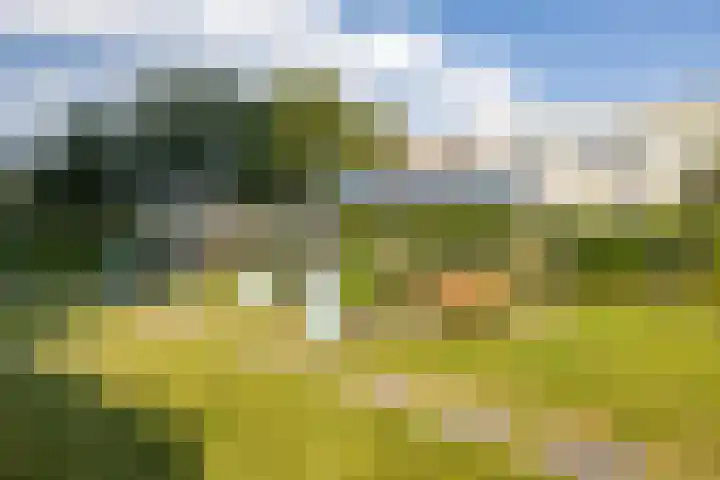 Het Hout 99 Groningen thumbnail 24