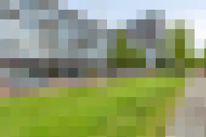 Het Hout 99 Groningen thumbnail 25