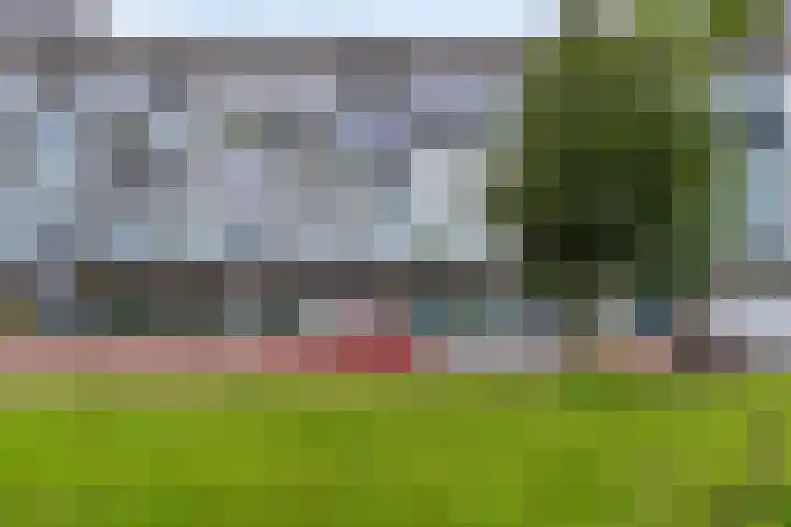 Het Hout 99 Groningen thumbnail 29