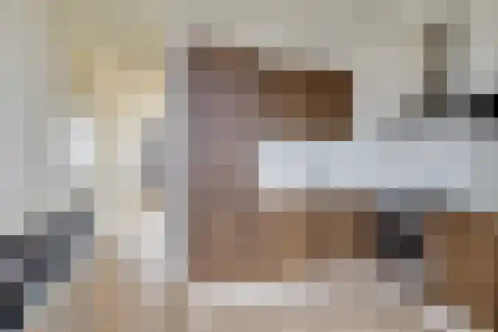 Het Hout 99 Groningen thumbnail 6