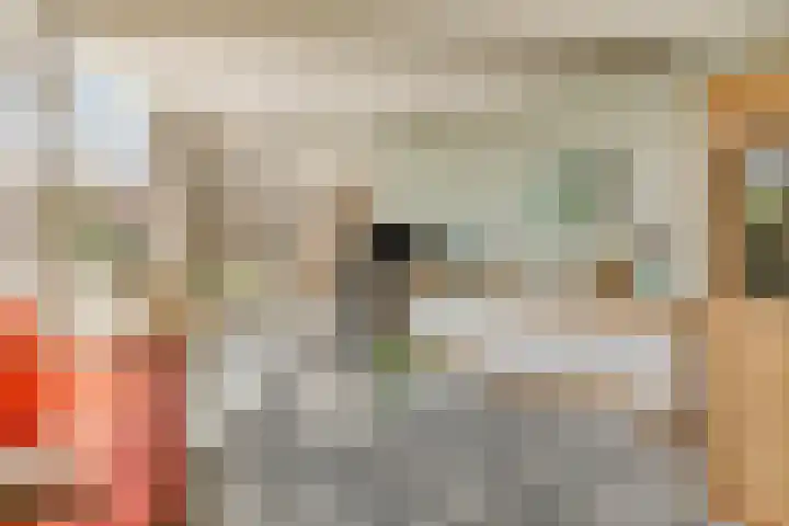 Het Hulshorst 5 Almelo thumbnail 28
