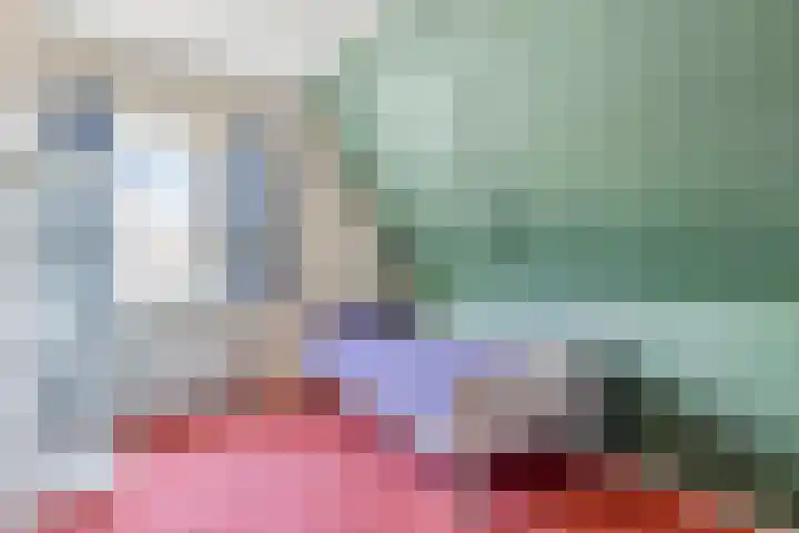 Het Hulshorst 5 Almelo thumbnail 38