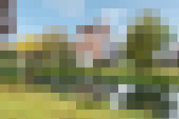 Het Jaagpad 12 in Tiel