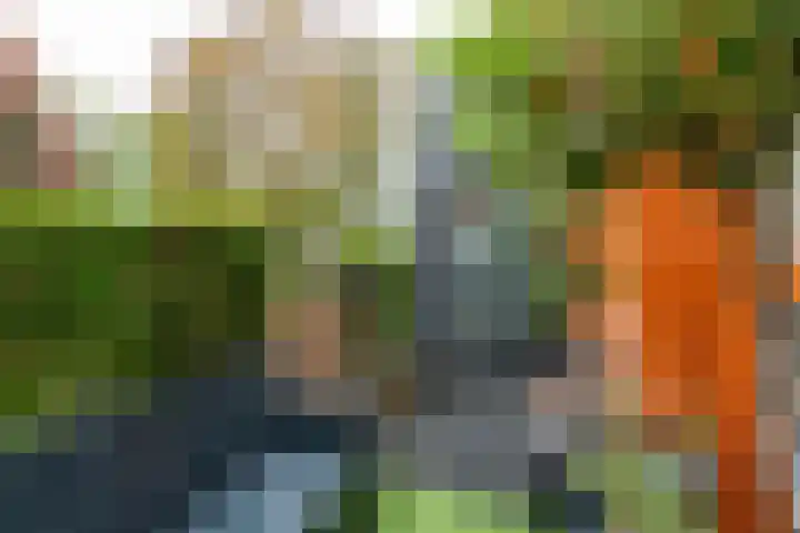 Het Jaagpad 12 Tiel thumbnail 26
